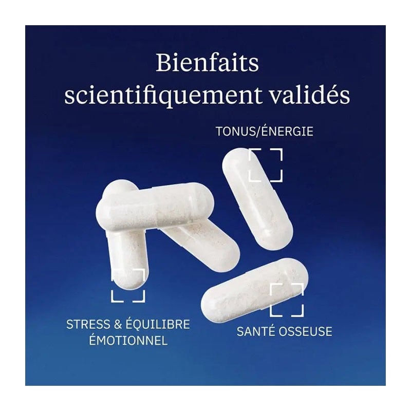 Magnésium bisglycinate TRAACS® - Dynveo - Le Sport Discount pas cher
