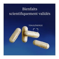 Bisglycinate de Fer Ferrochel™ 60 gélules - Dynveo - Le Sport Discount pas cher