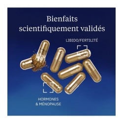 Maca Bio 11:1 60 gélules - Dynveo - Le Sport Discount pas cher