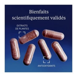 Canneberge Bio 60 gélules - Dynveo - Le Sport Discount pas cher