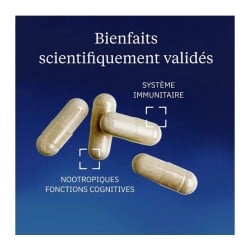 Vitamine B9 Quatrefolic® 60 gélules - Dynveo - Le Sport Discount pas cher