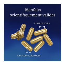 Thé vert Bio 500 mg 60 gélules - Dynveo - Le Sport Discount pas cher