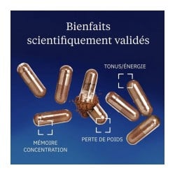 Guarana Bio 500 mg 60 gélules - Dynveo - Le Sport Discount pas cher