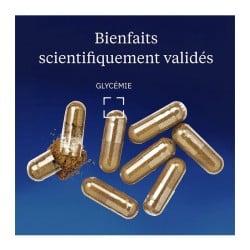 Extrait de Mûrier blanc 5 % DNJ 60 gélules - Dynveo - Le Sport Discount pas cher