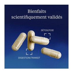 Extrait d'Artichaut 500 mg 60 gélules - Dynveo - Le Sport Discount pas cher