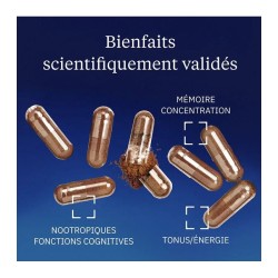 Ginseng rouge premium 200 mg 60 gélules - Dynveo - Le Sport Discount pas cher