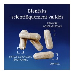 Ashwagandha Bio KSM-66® 60 gélules - Dynveo - Le Sport Discount pas cher
