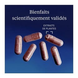 Grenade Bio 375 mg 60 gélules - Dynveo - Le Sport Discount pas cher