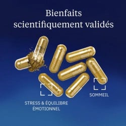 Mélisse Bio 300 mg 60 gélules - Dynveo - Le Sport Discount pas cher