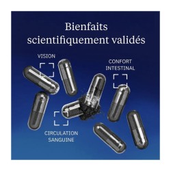 Extrait de myrtille sauvage Mirtoselect® 60 gélules - Dynveo - Le Sport Discount pas cher