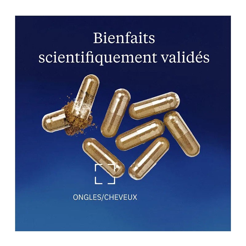 Levure de bière Bio-active 550 mg 120 gélules - Dynveo - Le Sport Discount pas cher