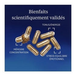 Rhodiola rosea 350 mg 60 gélules - Dynveo - Le Sport Discount pas cher