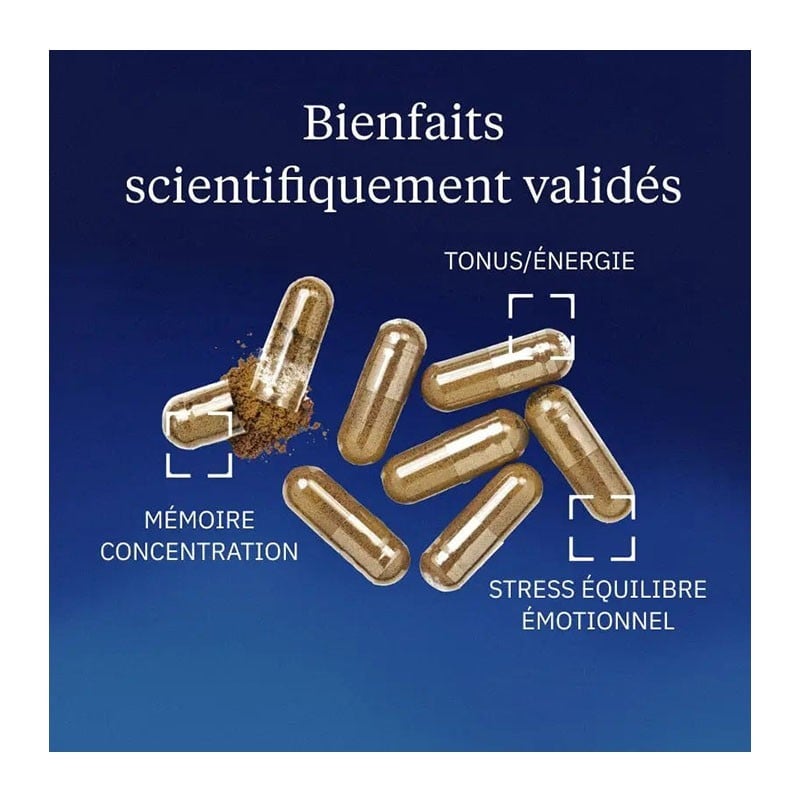 Rhodiola rosea 350 mg 60 gélules - Dynveo - Le Sport Discount pas cher