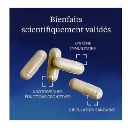 Vitamine B12 active 250 µg 60 gélules - Dynveo - Le Sport Discount pas cher