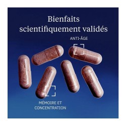 PQQ Pyrroloquinoléine quinone 10 mg 60 gélules - Dynveo - Le Sport Discount pas cher