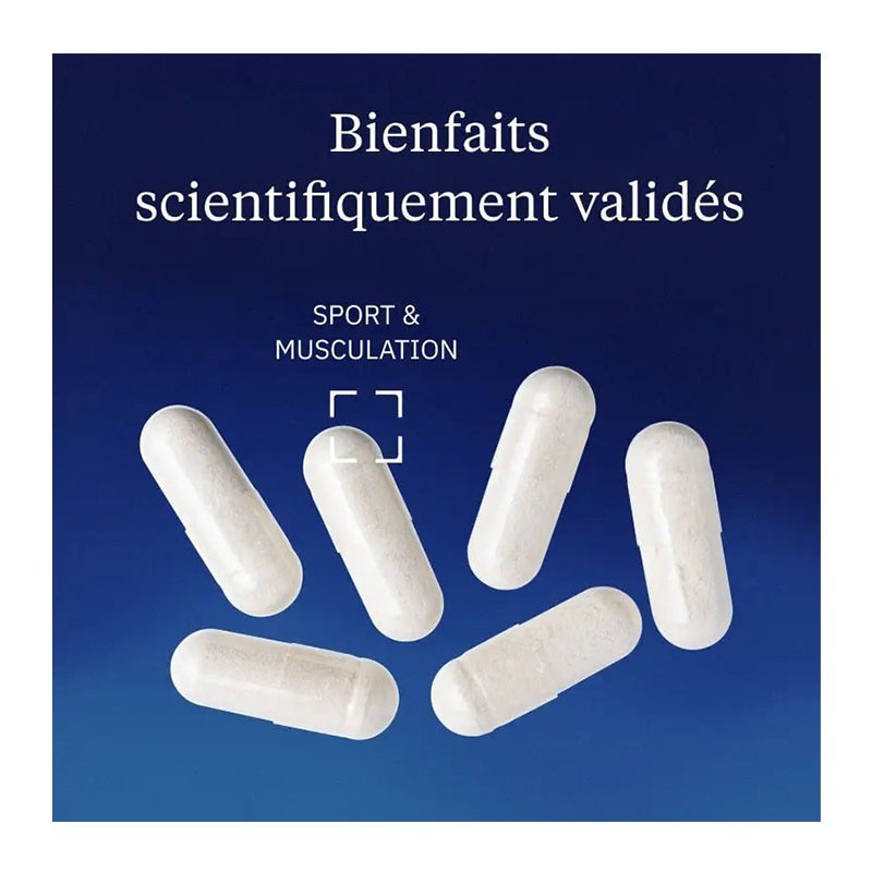 Créatine monohydrate Creapure® - Dynveo - Le Sport Discount pas cher