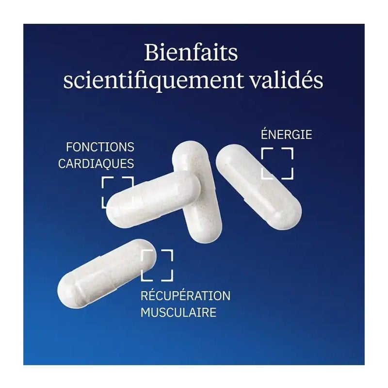 TMG Bétaïne anhydre DuraBeet® 120 gélules - Dynveo - Le Sport Discount pas cher