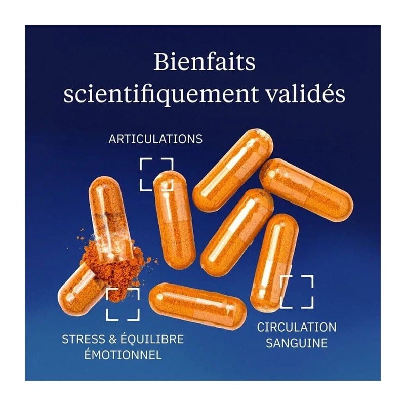 Curcumine BIO Optimisée TurmiPure GOLD® gélules - Dynveo - Le Sport Discount pas cher