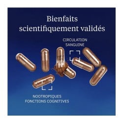 Pycnogenol® extrait de pin maritime - Dynveo - Le Sport Discount pas cher