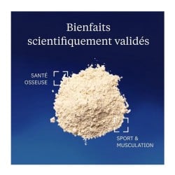 Protéines végétales Bio 80 % en poudre - Dynveo - Le Sport Discount pas cher