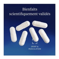 BCAA 2.1.1 végétaux - Dynveo - Le Sport Discount pas cher