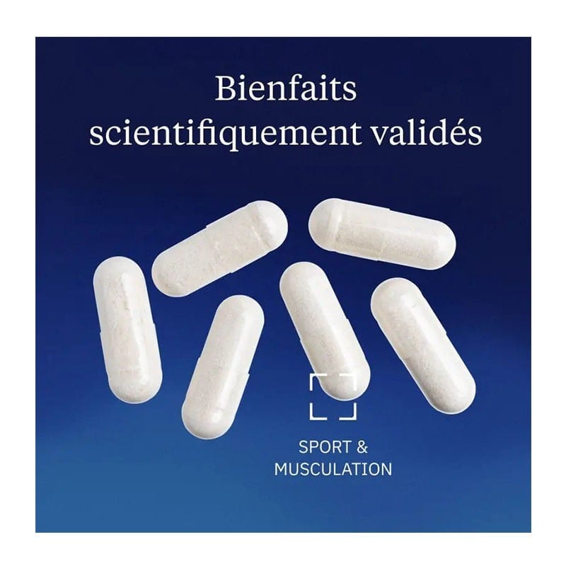 BCAA 2.1.1 végétaux - Dynveo - Le Sport Discount pas cher