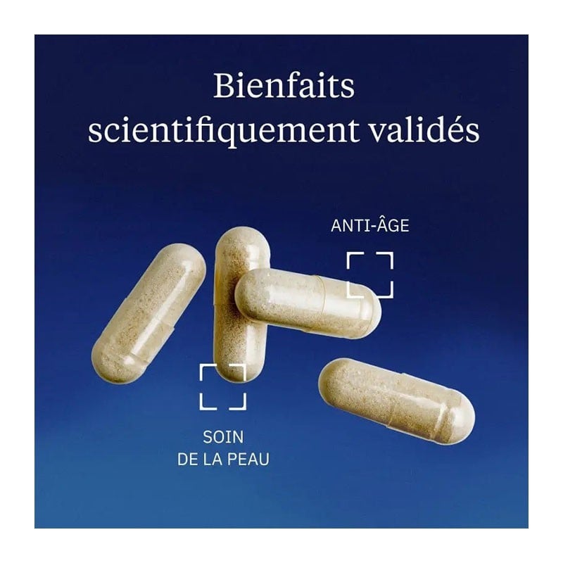 Collagène végétarien Ovoderm® 60 gélules - Dynveo - Le Sport Discount pas cher