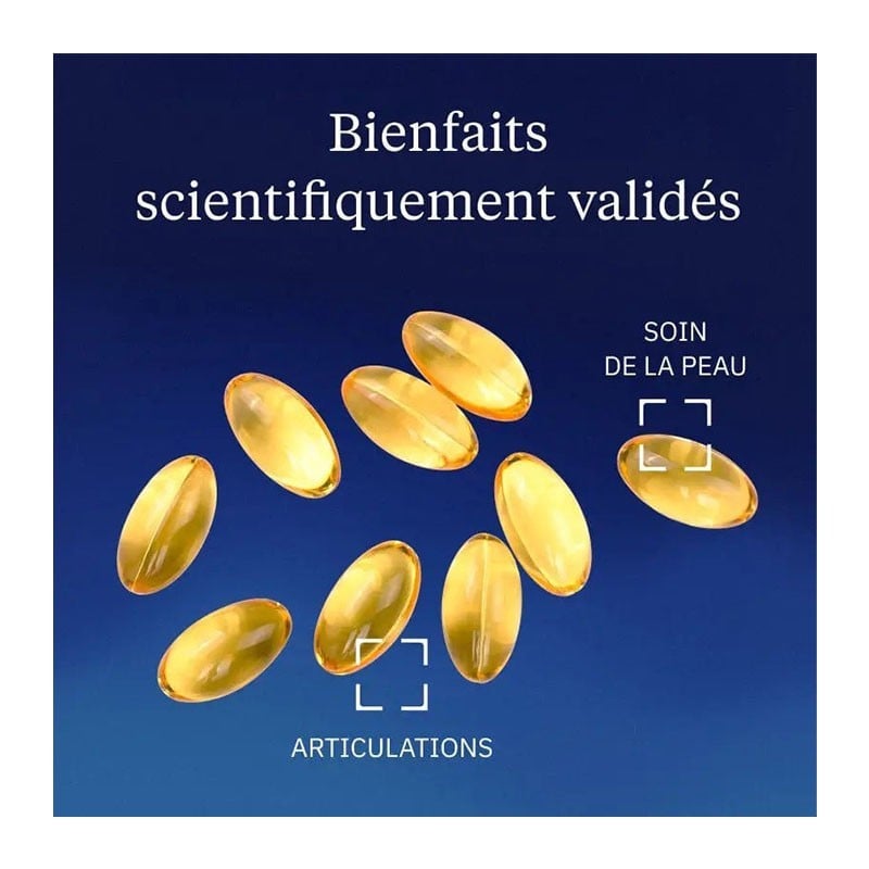 Huile de bourrache Bio 20 % GLA 60 capsules - Dynveo - Le Sport Discount pas cher