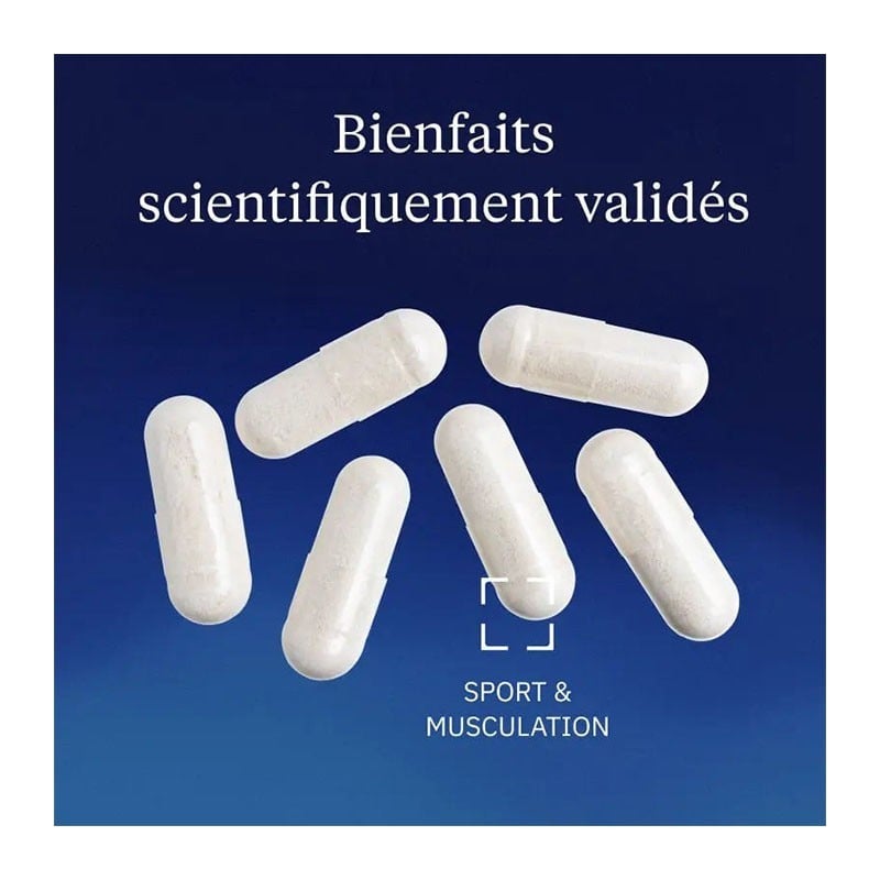 Chondroïtine sulfate vegan 600 mg 60 gélules - Dynveo - Le Sport Discount pas cher