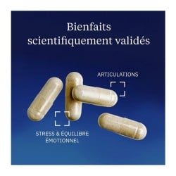 Saule blanc 25 % salicine 60 gélules - Dynveo - Le Sport Discount pas cher