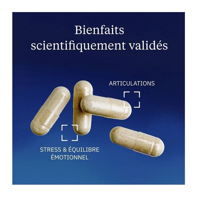 Saule blanc 25 % salicine 60 gélules - Dynveo - Le Sport Discount pas cher