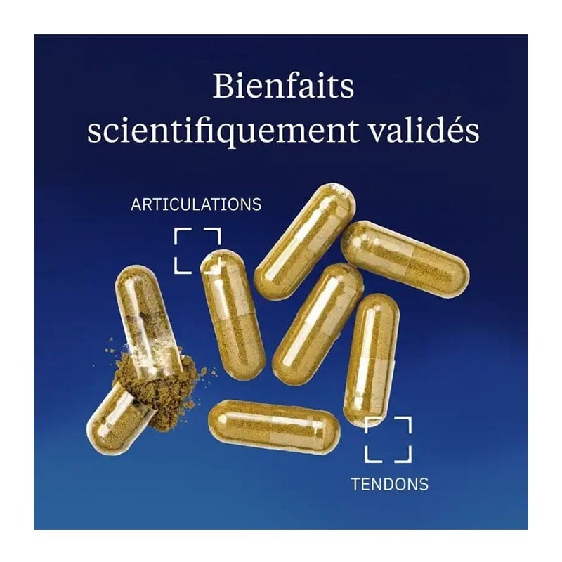 Harpagophytum Bio 40 % harpagosides - Dynveo - Le Sport Discount pas cher