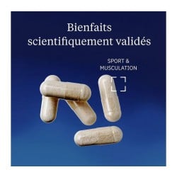 Glucosamine Chondroïtine vegan - Dynveo - Le Sport Discount pas cher