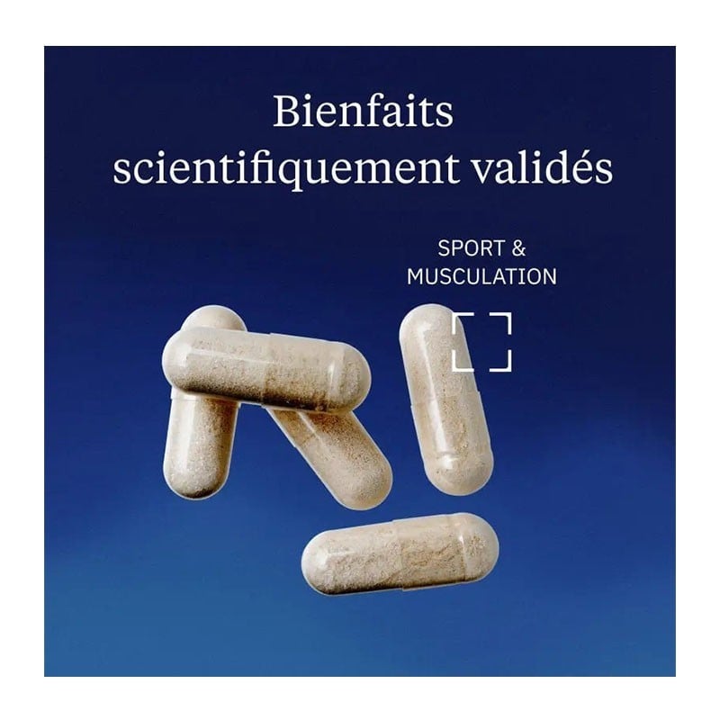 Glucosamine Chondroïtine vegan - Dynveo - Le Sport Discount pas cher