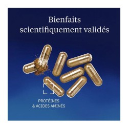L-Théanine Be Theanine® 100 mg 60 gélules - Dynveo - Le Sport Discount pas cher