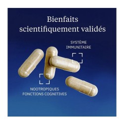 Vitamine B6 active P5P 1,4 mg 60 gélules - Dynveo - Le Sport Discount pas cher