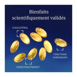 Huile de lin Bio 500 mg 60 capsules - Dynveo - Le Sport Discount pas cher