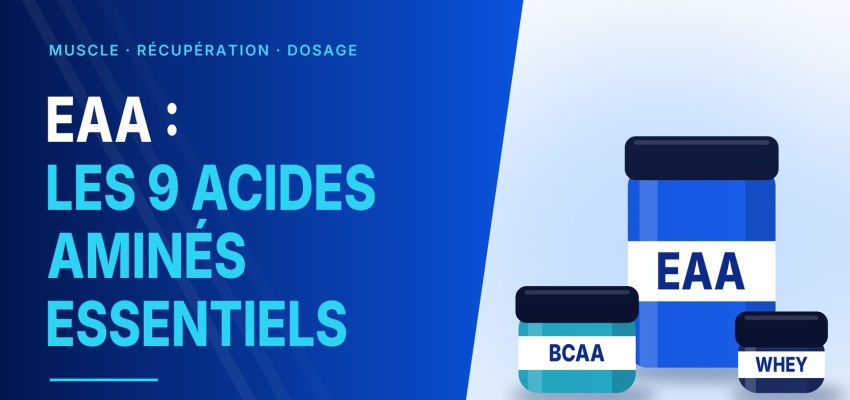EAA : bienfaits, dosage et comment bien les choisir