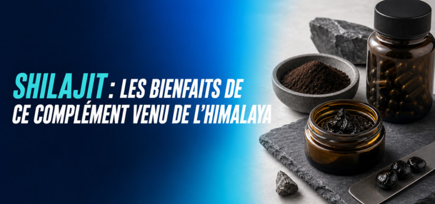 Shilajit : les bienfaits de ce complément venu de l’Himalaya