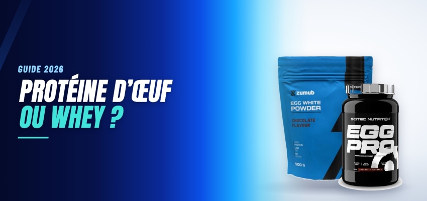Protéine d’œuf en poudre : pour qui est-elle le bon choix ?
