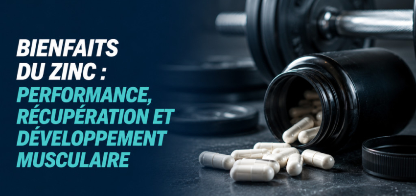 Bienfaits du zinc : performance, récupération et développement musculaire